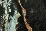 Polished Chrome Chalcedony Slab - Western Australia #221425-1